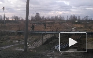 Сотрудники управляющей службы вышли косить траву в Петергофе