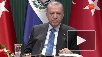 Эрдоган подтвердил предложение провести встречу Путина и Зеленского в Турции