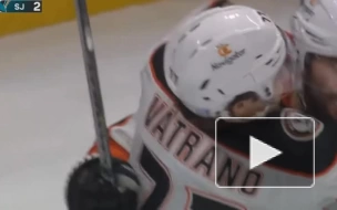 Передача Свечникова не спасла "Сан-Хосе" от поражения "Анахайму" в НХЛ