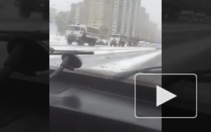 Видео: на Софийской овощебазе задержали несколько десятков мигрантов