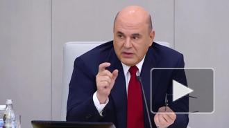 Мишустин не против, если статус самозанятых будет шире прописан в законодательстве