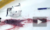 Студенту, убившему хоккеиста, грозит 9 лет строгого режима