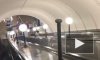 Пассажир Московского метро принял плафоны за пингвинов и поколотил их