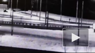 Смертельное столкновение авто со столбом на проспекте Обуховской Обороны попало на видео