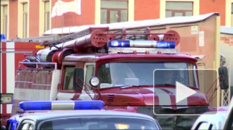 В Петербурге ночью сгорели шесть автомобилей