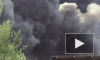 В сети появилось видео крупного пожара в Сосновом Бору