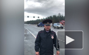 Под Кингисеппом опрокинулся микроавтобус: есть жертвы