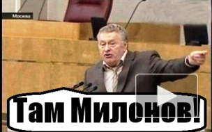 Жириновский обвинил гееборца Милонова в пропаганде гомосексуализма