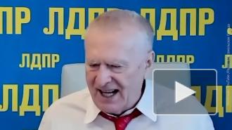 Жириновский раскритиковал продажу туров в Турцию