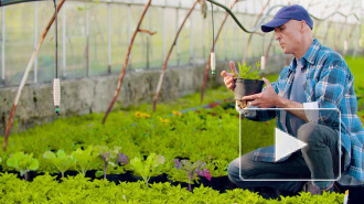 Владимир Путин подписал закон о патентах для фермеров