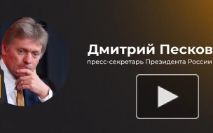 Песков заявил, что Россия считает ничтожным решение МУС об ордере на арест Путина