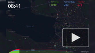 "Яндекс" опубликовал видео "Один день из жизни петербургского наземного транспорта"