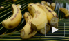 Эксперты: бананы обладают обезболивающим эффектом