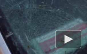 На Лабораторном проспекте неизвестные обкидали машины едой