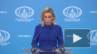 Японцы раскритиковали призыв "отобрать" Южные Курилы у России