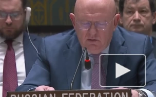 Россия запросила 9 декабря заседание СБ ООН по западным поставкам оружия на Украину