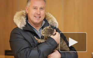 Кошка-обжора из Владивостока может быть беременной