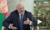 Лукашенко заявил о наличии в Литве группировок, причастных к нелегальной миграции