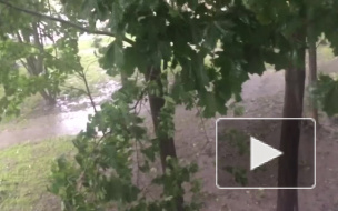 За лето на Петербург вылилось 15 тонн дождя