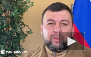 Пушилин оценил ущерб, который Украина нанесла ДНР