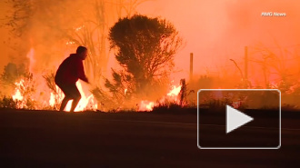 В Калифорнии мужчина кинулся в пламя огня, чтобы спасти кролика
