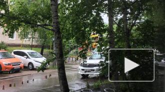 В Приамурье мать, заставлявшую дочь целовать отчима, могут лишить прав