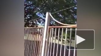 В Ростовской области огородили школу колючей проволокой