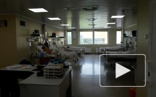 Петербург вышел на плато по госпитализации коронавирусных больных