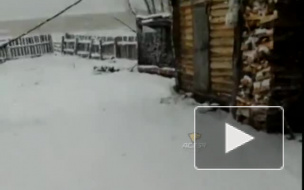 В Новосибирскую область вернулась зима со снегом