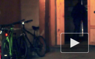 На 5 лет осужден мигрант, изнасиловавший петербургского школьника