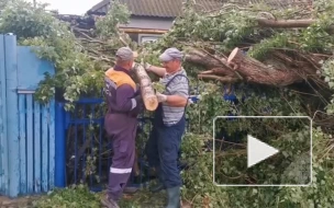 Из зоны затопления в Херсонской области вывезено 3,7 тыс. кубометров мусора