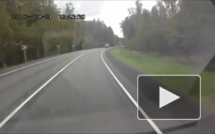 Встреча с лосем.