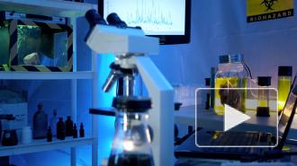 Участники шведского эксперимента обменялись телами