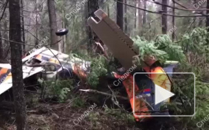 Опубликовано видео с места крушения легкомоторного самолета в Пермском крае