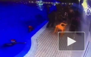 СК опубликовал видео с камер в бассейне Всеволожска, где захлебнулся первоклассник