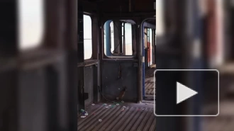 Комтранс Петербурга показал, как утилизируют старые вагоны метрополитена