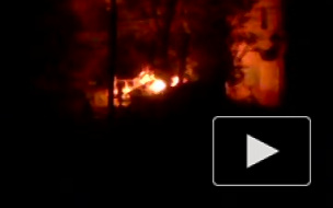 В поджоге хозяйственного домика на Елагином подозревают знакомого погибших