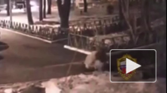 Видео: В Москве пенсионерку жестко избил мужчина с собакой