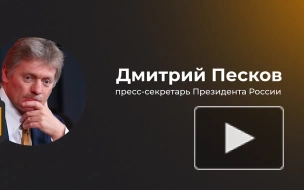 Песков прокомментировал выдачу оружия теробороне в Белгородской области