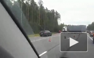 В Выборгском районе Audi столкнулась с грузовиком