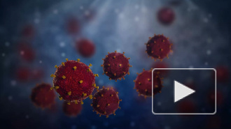 В Китае назвали новый способ передачи коронавируса