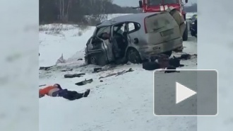 На трассе "Новосибирск-Барнаул" шестеро погибли в аварии, еще четверо в тяжелом состоянии