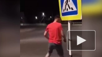 Пьяные жители Воронежской области пытались забодать дорожный знак