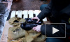 В Петербурге электронику и ботинки пытались выдать за минеральное волокно