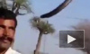 Смертельное видео из Индии: во время фото туриста укусила кобра