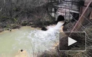 Экоактивисты нашли опасную концентрацию фосфора в ручье Верховском