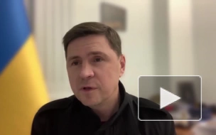Офис президента Украины: виновник ДТП с Зеленским был под стимуляторами