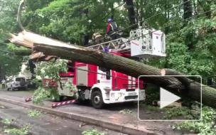 Сотрудники МЧС совершили 125 выездов во вторник