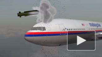 Обвинение не согласно с идеей расследовать версию о сбившем МН17 самолете