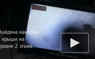 Домашнюю кошку два дня вызволяли из вентиляционной шахты в Петербурге